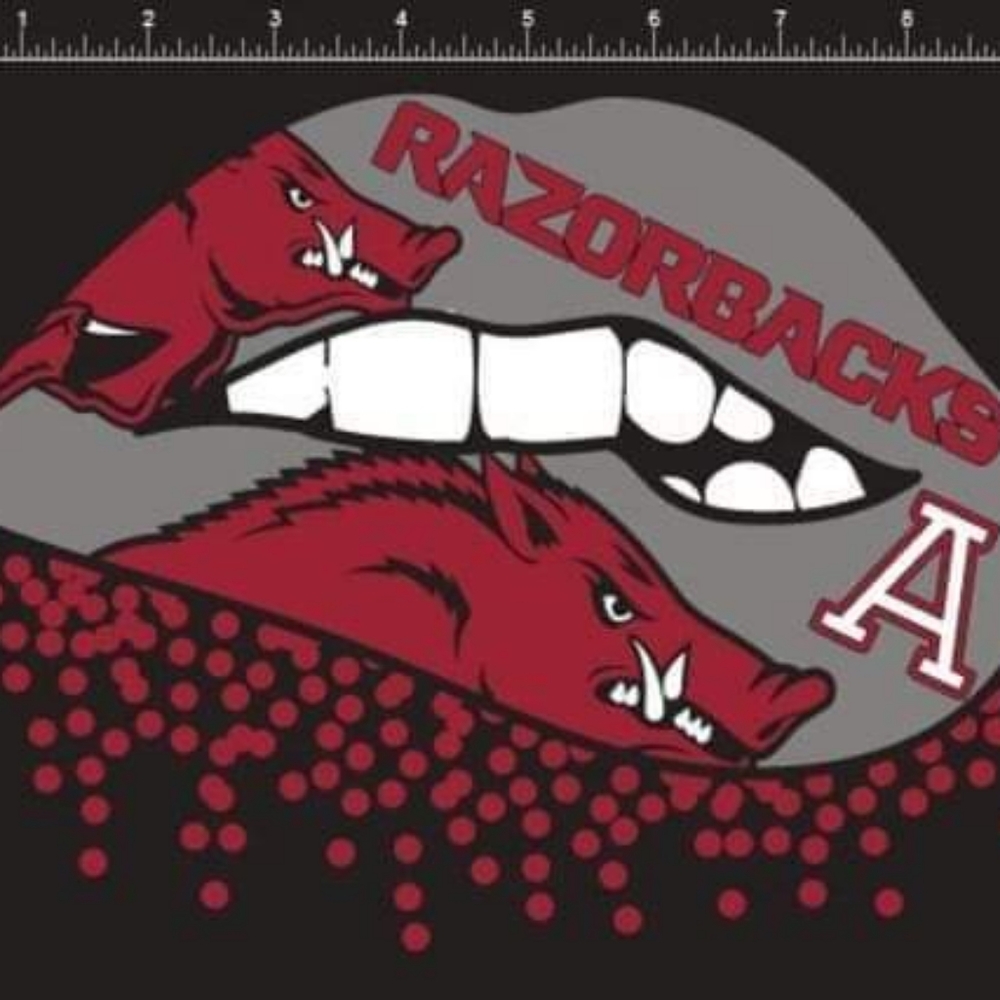 Razorbacks Banners - Picture 12 of 16